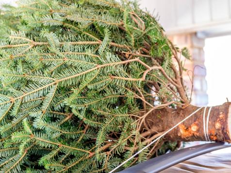 How to Buy and Recycle an Evergreen Christmas Tree