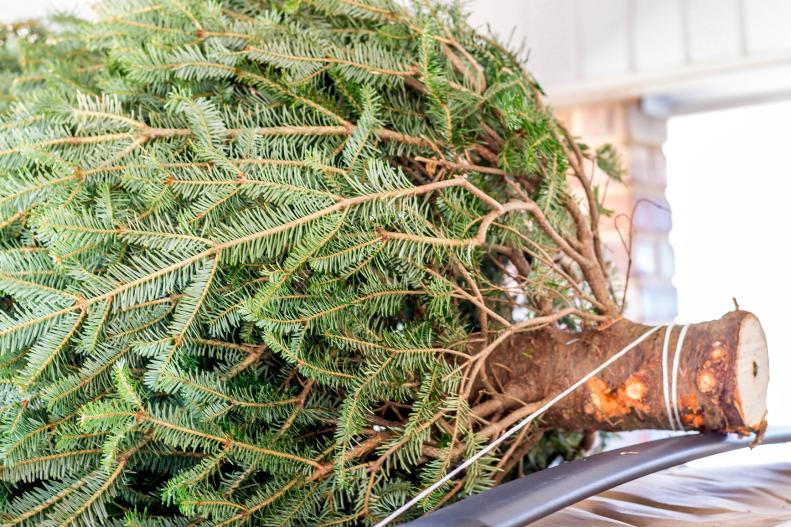 How to Pick a Perfect Christmas Tree