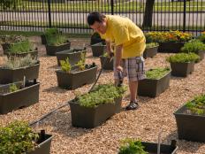 At Growing Solutions Farm in Chicago, the 1.5-acre urban garden is designed for individuals with autism.