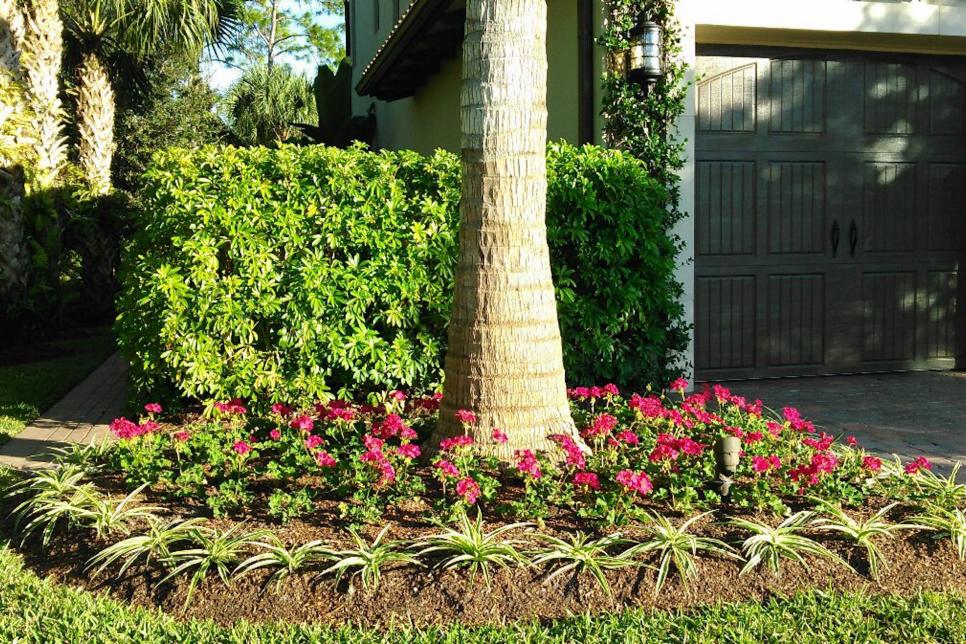 Garden Design for Under $10,000 | HGTV