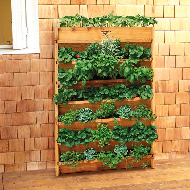 Wall planter vertical gardening