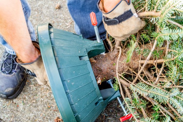 How to Set Up A Christmas Tree