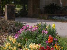 Even if your front or backyard is large, pick one area to work on, such as the base of the driveway. Plant a combination of annuals and perennials and use the remainder of your $100 budget for soil.