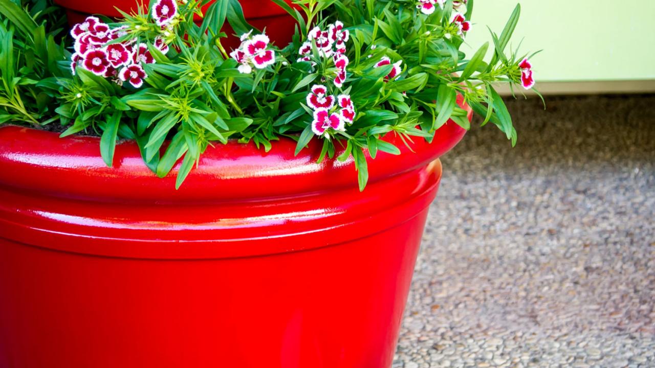 22 Oversized Planters You Can Make From Upcycled Items