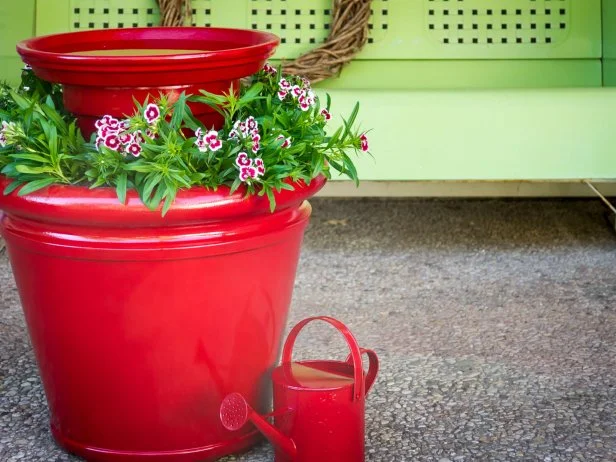 How to Make a Homemade Bird Bath Heater: Easy & Effective Guide