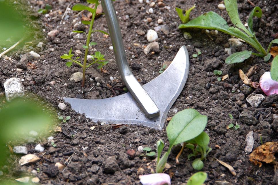 Best New Garden Products for 2015 HGTV