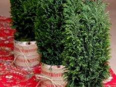 Fill your mantle or tabletop with these up-cycled evergreen topiaries.
