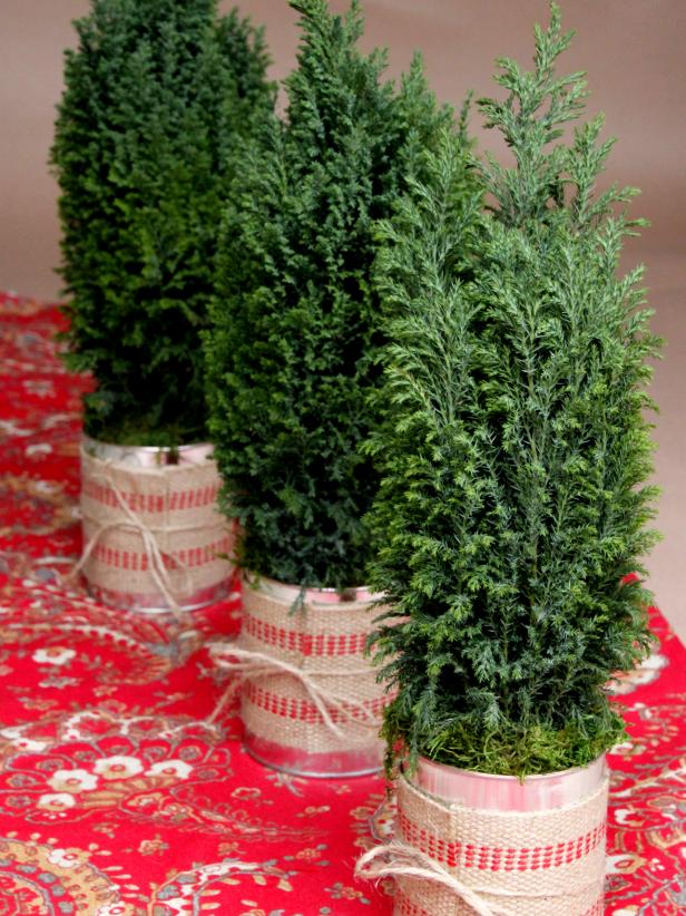 Upcycled Holiday Topiaries