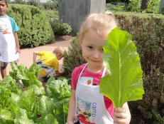 Kids get hands-on with nature, including vegetables and plants, during summer camps offered by the Atlanta Botanical Garden and other organizations.