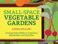 Small-Space Vegetable Gardens by Andrea Bellamy