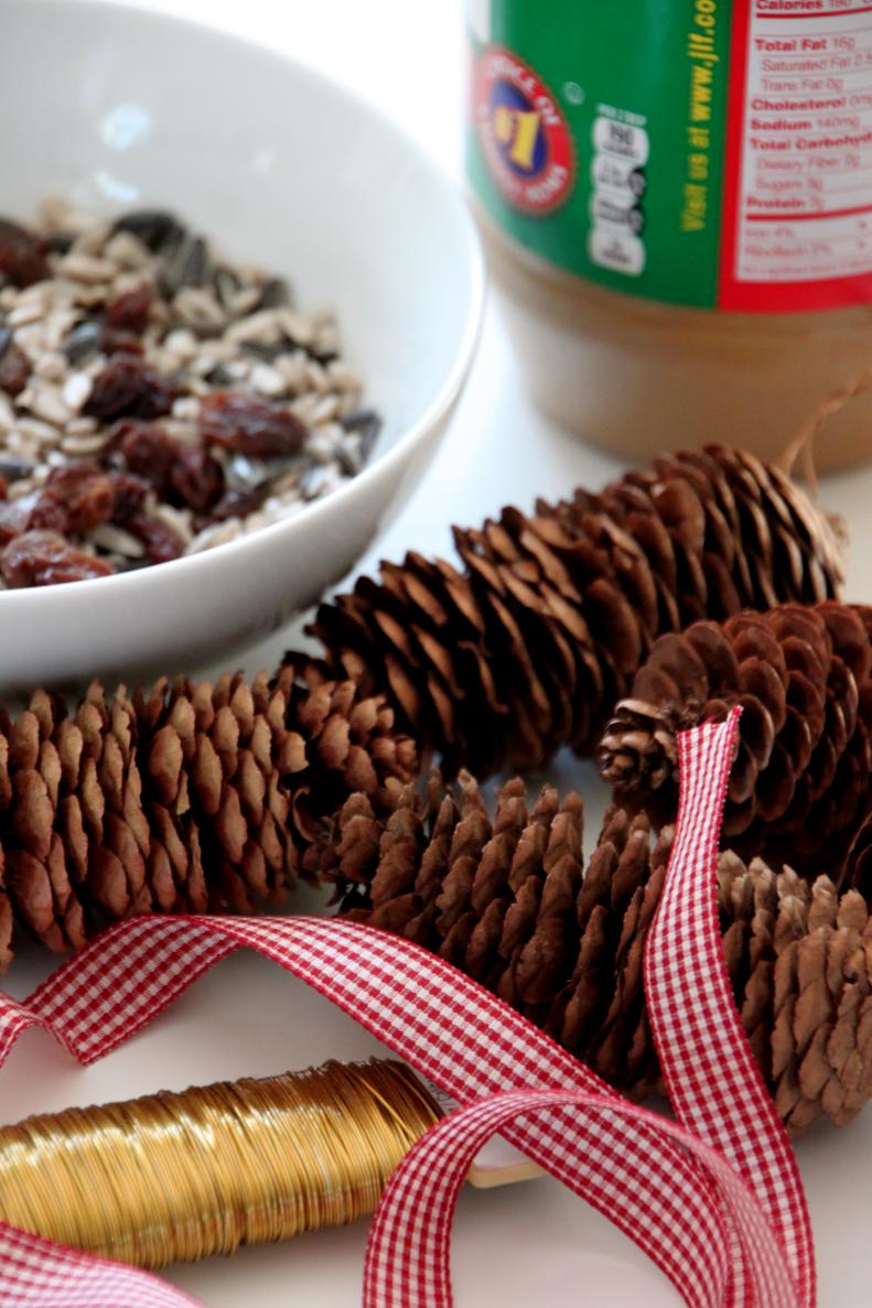 Make a Pinecone Bird Feeder for Valentine's Day | HGTV