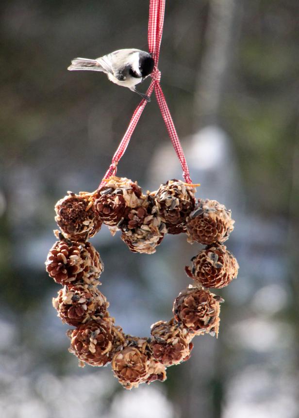 Pine Cone Feeder Made with Peanut Butter