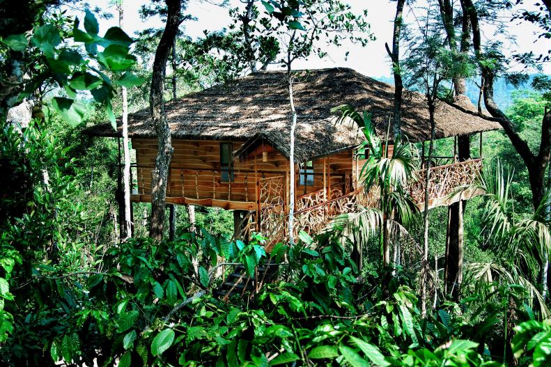 It might be hard to find a more exotic location than the treehouse accommodations offered at Tranquil Resort, nestled within the remote rainforest of Wayanad, in the north part of Kerala, India.