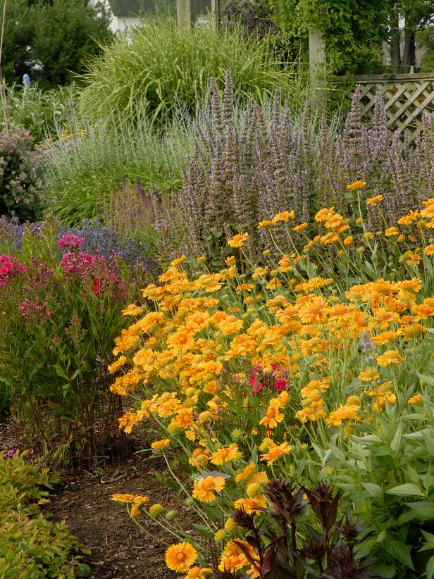 Native Plants for Southwestern Gardens | HGTV