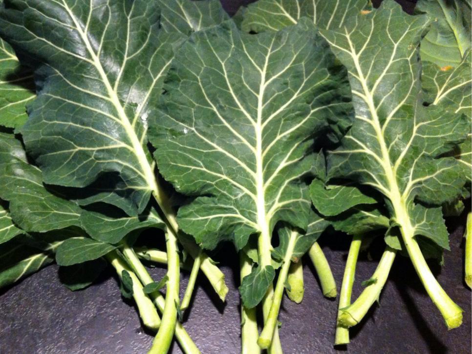 15 Vegetables You Can Plant Now For Fall Harvest HGTV 15 Vegetables You Can Plant Now For Fall Harvest HGTV