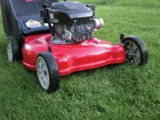 Maintaining your lawn more is essential for healthy grass