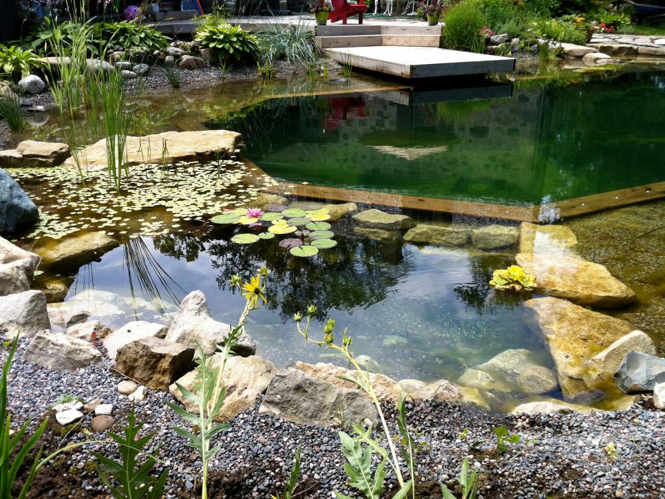 Amazing Natural Swimming Pools | HGTV