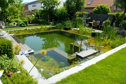 Community Group Maintaining Natural Swimming Pool