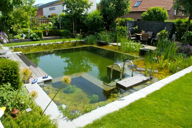What can a square backyard do? House a phenomenal place to swim. This shot of a backyard swimming pool by<a target="_blank" href="http://bionovanaturalpools.com/"> BioNova Natural Pools </a>demonstrates how an average yard can be transformed into a living water paradise!