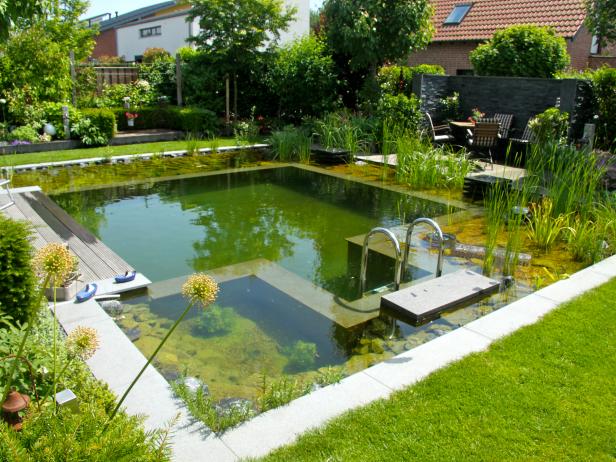 Natural Swimming Pools 101: All About Natural Pools | HGTV