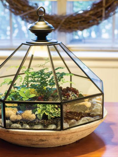 terrarium lighting fixtures