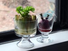 Instead of throwing kitchen scraps into the compost bin, re-grow them!