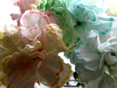 Learn how easy it is to add a pop of color to white blooms in this family-friendly craft.