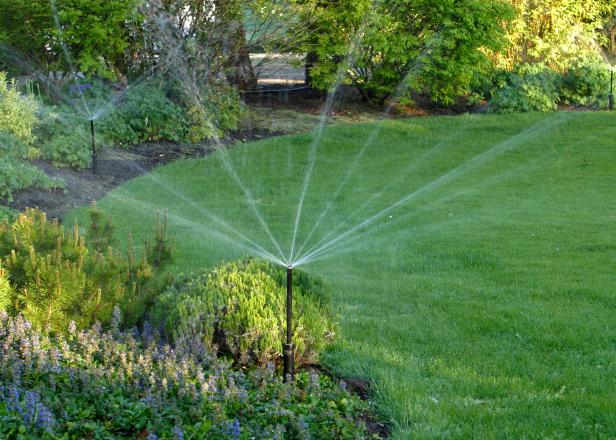 A Guide to Garden Watering Systems | HGTV