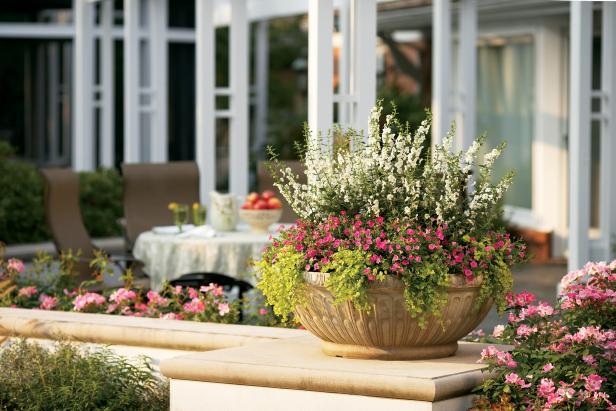 Container Garden With Angelonia And Calibrachoa