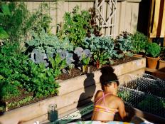This lively raised custom cedar wood veggie bed by <a target="_blank" href="http://aloedesigns.com/">Aloe Designs</a> is teaming with radish, beans, carrots, parsley, kale, cabbage, Swiss chard and asparagus, while a chorus of potted herbs flourishes in the background.