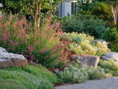 Some landscapes are ideal for the placement of rock gardens and you can easily enhance the beauty of your yard by creating one. Mark Fockele, founder of Fockele Garden Company, offers some basic tips on how to do this with examples drawn from the Wilheit-Keys Peace Garden at the Northeast Georgia Medical Center.