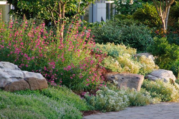 Some landscapes are ideal for the placement of rock gardens and you can easily enhance the beauty of your yard by creating one. Mark Fockele, founder of Fockele Garden Company, offers some basic tips on how to do this with examples drawn from the Wilheit-Keys Peace Garden at the Northeast Georgia Medical Center.