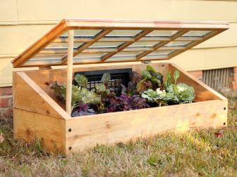 Wood and Window Cold Frame