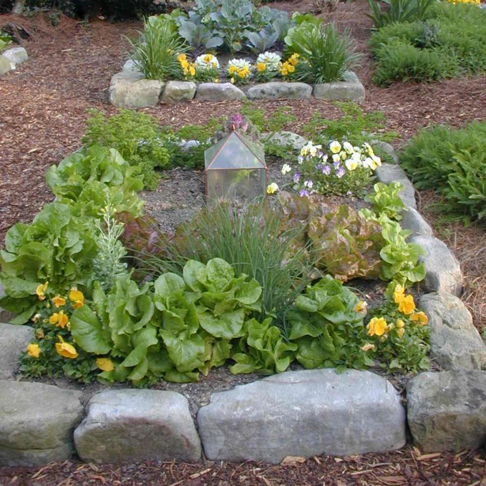 easy herb and vegetable garden designs | hgtv