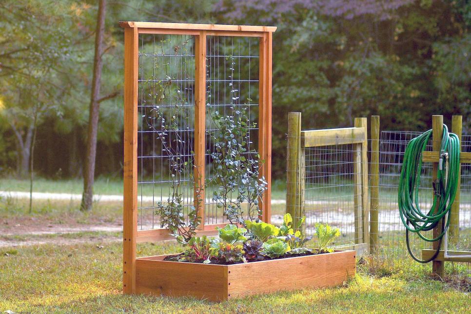 How To Build A Raised Bed And Trellis Hgtv