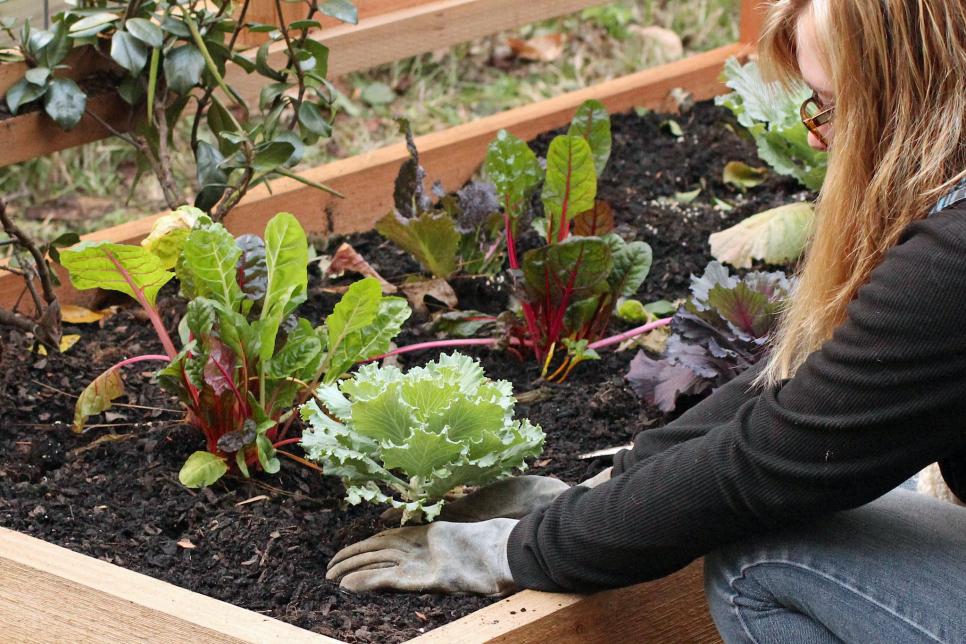 Raised Flower Bed Drainage