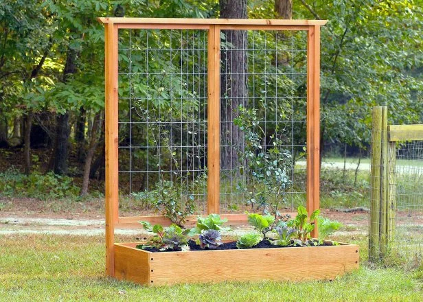 How to Build Diy Raised Beds for Yard: Easy Steps for Lush Gardens