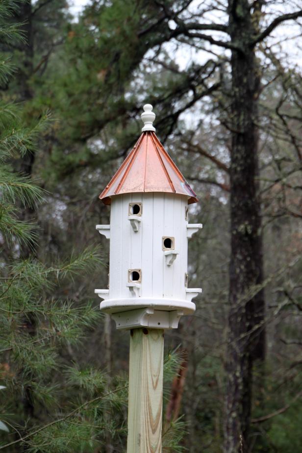 Johnson County gardeners' tips on how to attract these iconic, colorful  birds to your backyard this spring