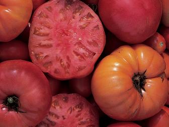 Heirloom Tomato Varieties