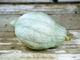 Heirloom Vegetable Winter Squash