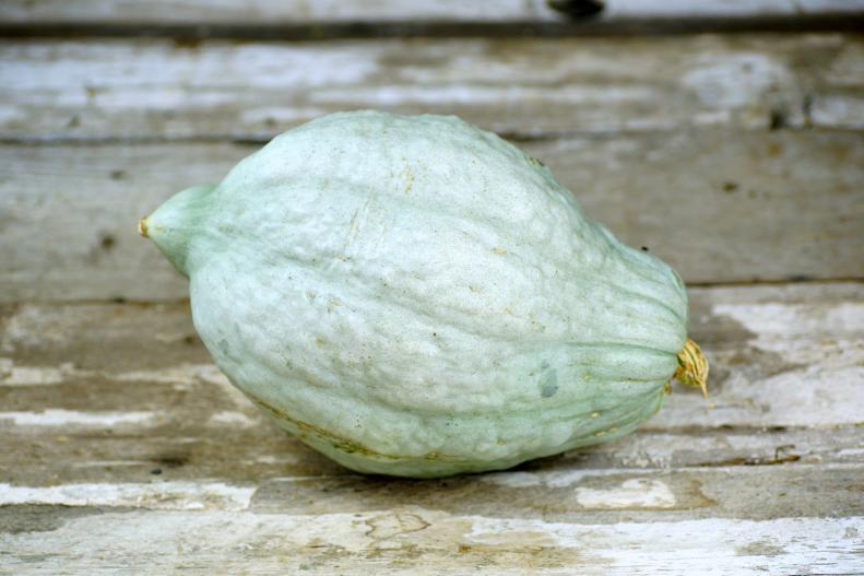 Heirloom Vegetable Winter Squash