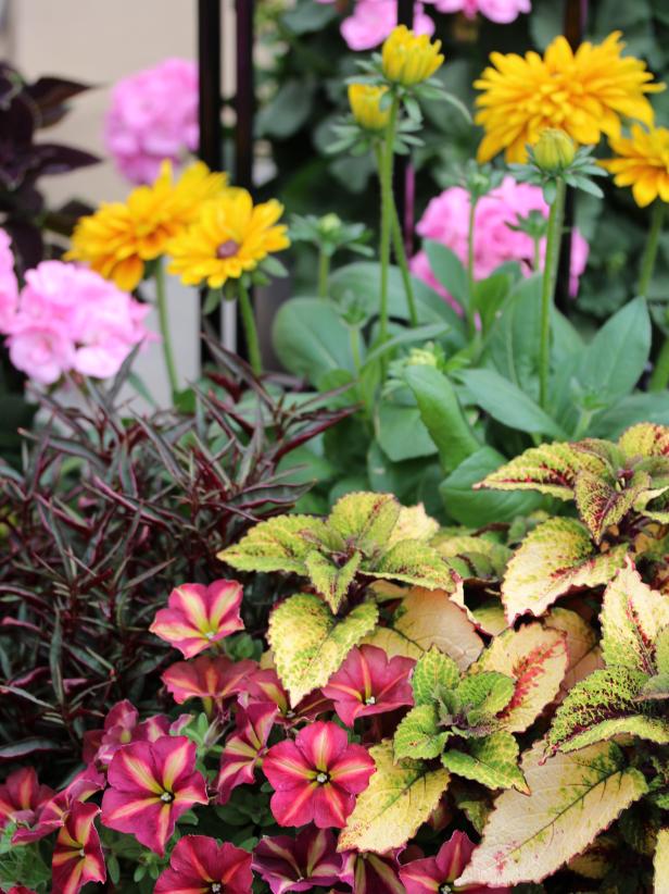 outdoor potted flower arrangements