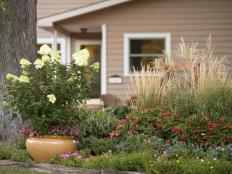 Improve your yard's curb appeal with front yard flower beds that deliver a colorful first impression.