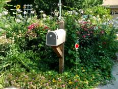 Cottage Mailbox Garden