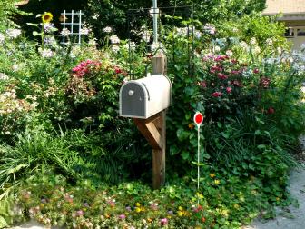 Cottage Mailbox Garden