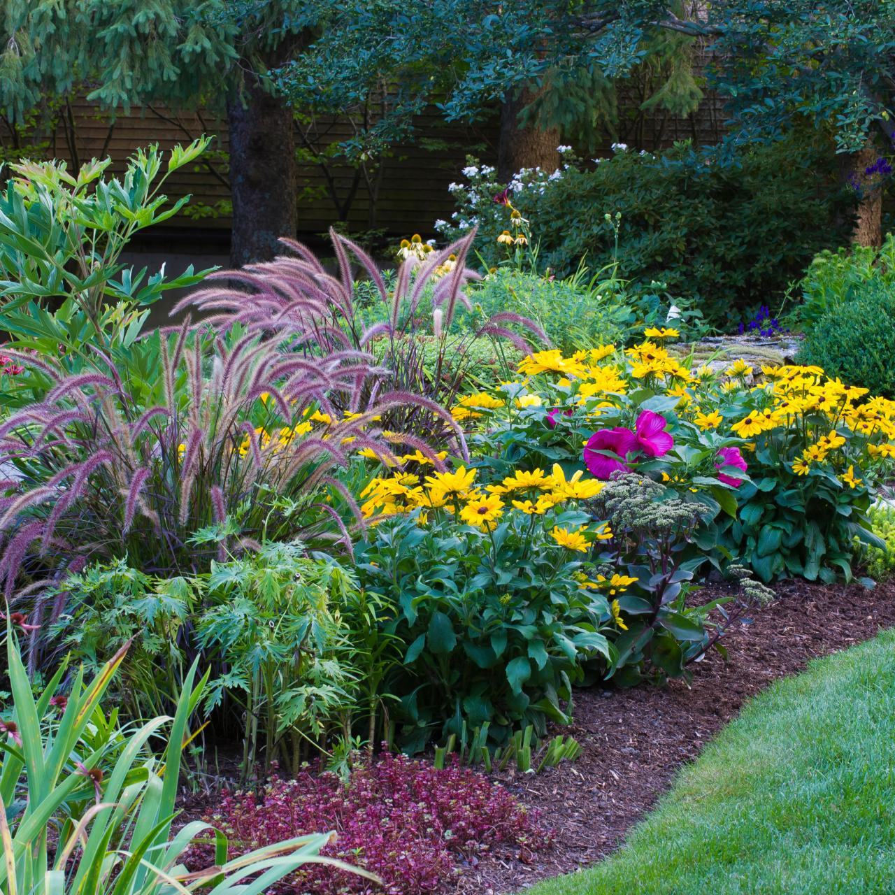 Top 5 drought tolerant plants - The Secret Garden