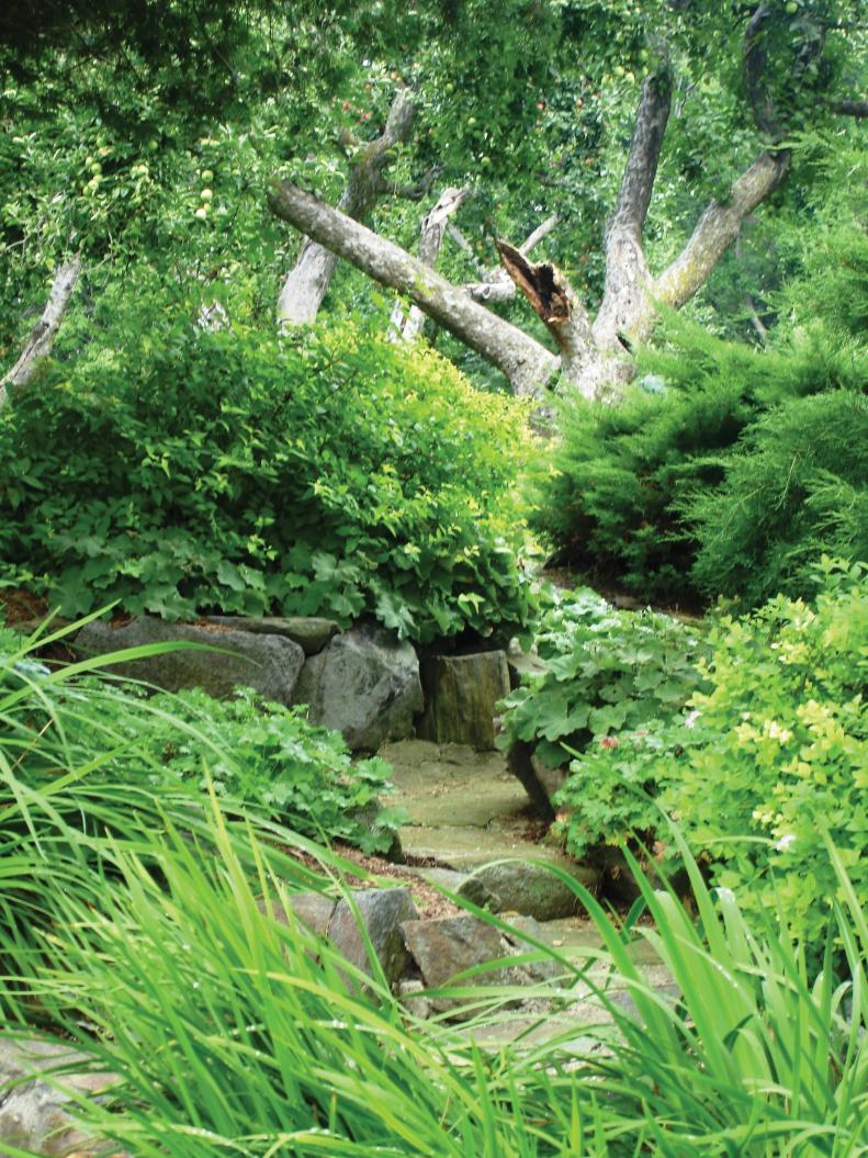 Heaven Is A Garden author Johnsen says every garden has a “power spot,” or the possibility of one. “It can be a high point or a shady nook,” she says. “Here we made a rustic stone walk up to an old apple tree. No one can resist a secret path!”