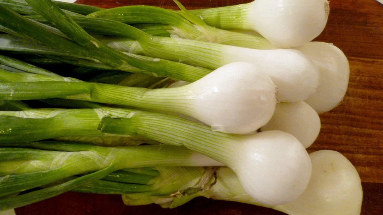 Spring Onions Images
