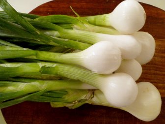 Harvested early, spring onions have a mild flavor that can be enjoyed raw or cooked.