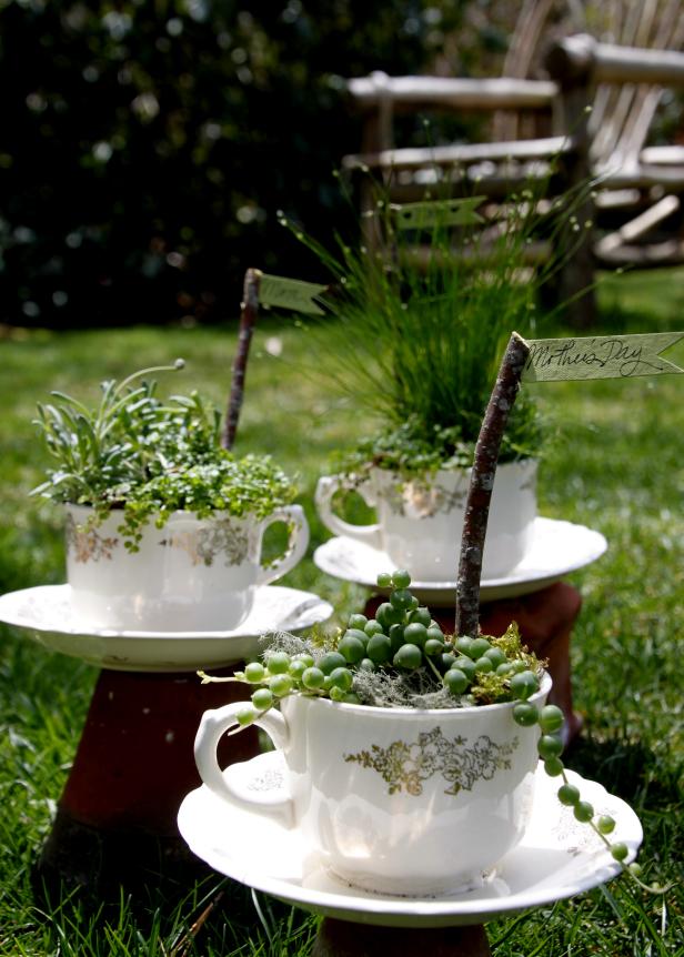Tea in the garden takes on new meaning as vintage teacups are turned into miniature planters.